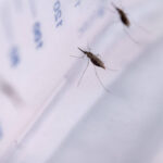 Questions fréquentes sur l’impulsion génétique et leurs réponses